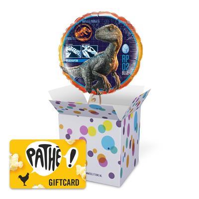 patheb2c_91ballon40__1.jpg